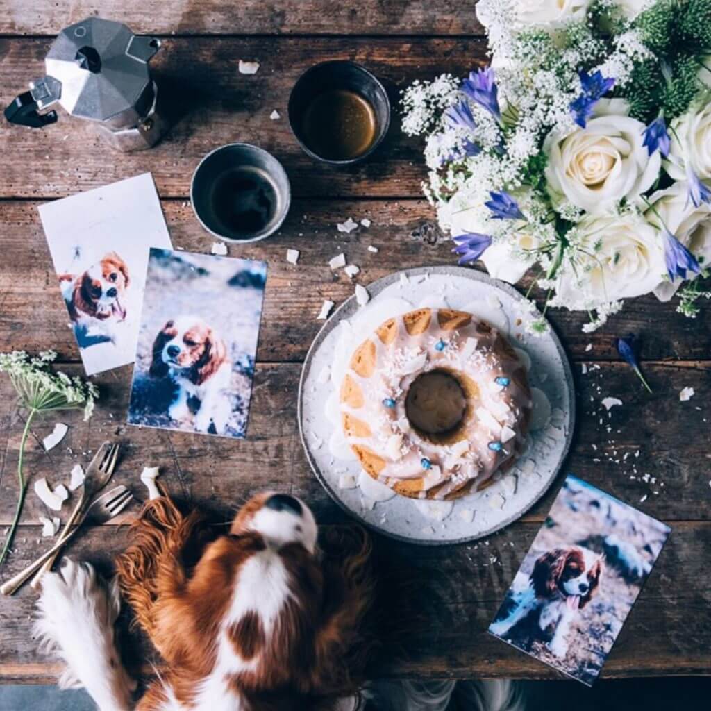 Food stories for guests who're usually hungry 26