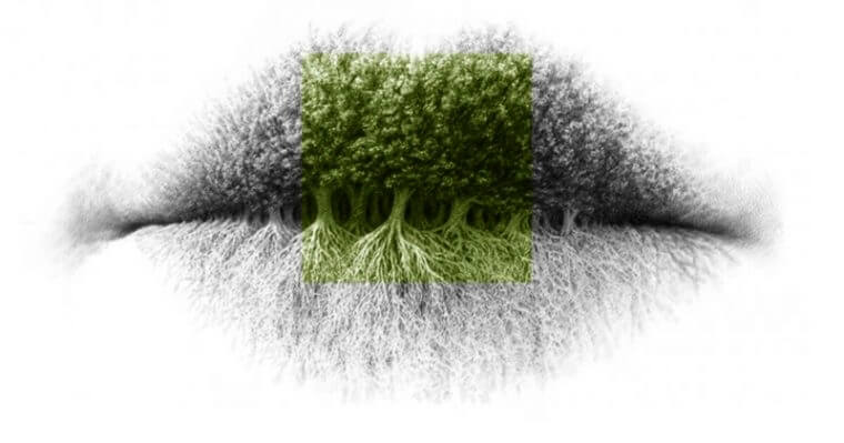 Unique Personality Traits of a Person Born on the Virgo-Libra Cusp 3