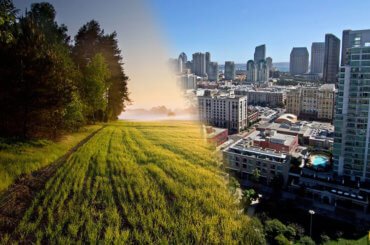 Urban Vs. Rural Living: Which is More Fulfilling in Today's World? 1