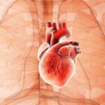 Symptoms of Heart Enlargement You Need to Recognize 11