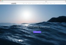 WordPress Tutorial Videos – Tips on Choosing a WordPress Theme