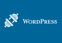 Optimize Your WordPress Blog – API Codes, Uploads and Plugins
