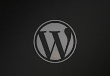 Top WordPress Plugins – Monetize Your Blog With Ads