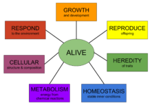 Make Peace With the Life You Did Not Get