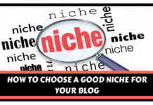 How to Get Your Blog Niche, and What to Do With It
