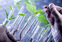 Biotechnology – A Genetic Pandora’s Box