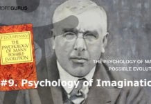 The Psychology of Imagination