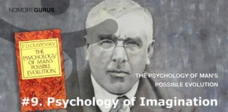 The Psychology of Imagination Home 11