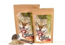 Essential Guide: Understanding Your Cat’s Food Diet