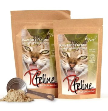 Essential Guide: Understanding Your Cat’s Food Diet