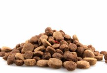 The Case AGAINST Raw Frozen Pet Foods