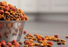 The Pet Food Ingredient Game