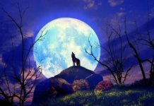 Gods Time – All Things Are Beautiful In His Time