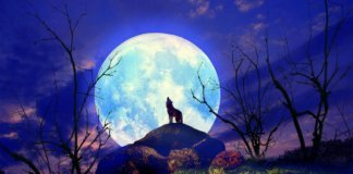 Gods Time – All Things Are Beautiful In His Time Home 5