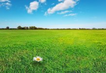 Discover the Natural Beauty of Cuyahoga Valley National Park