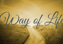Way of Life – What Path to Follow?