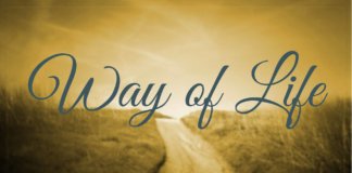 Way of Life – What Path to Follow? Home 13