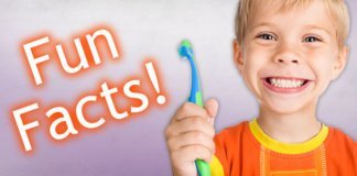 Kids and Teeth: Fun Facts Home 12