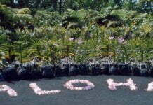 Aloha to Hawaii – The Most Beautiful Island of the World!