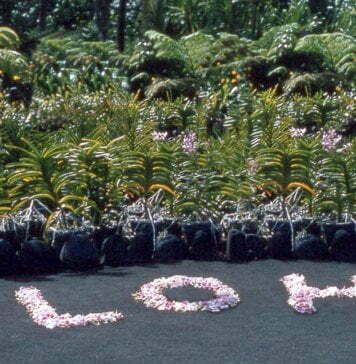 Aloha to Hawaii – The Most Beautiful Island of the World!