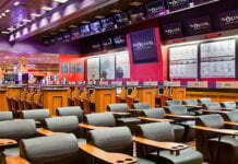 What to Do in a Sports Book