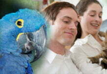 Say Goodbye to Your Furry Friend With Dignity With Pet Passages