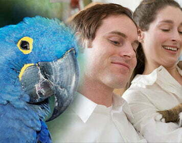 Say Goodbye to Your Furry Friend With Dignity With Pet Passages