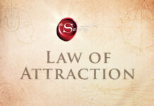 How to Manifest Wealth Through the Law of Attraction