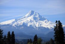 Mount Hood Tours to Experience the Beauty of Oregon