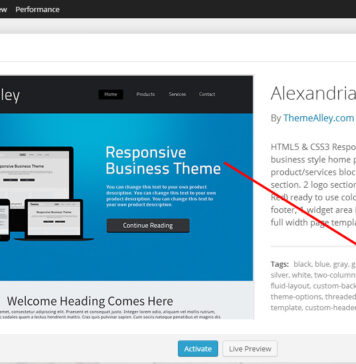 How to Delete a Theme from Your WordPress Site