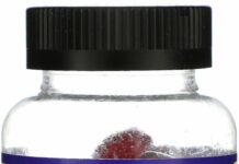 Boost Immunity with Elderberry Gummies