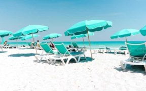 Travel Business Opportunity - Enjoy Your Business 2