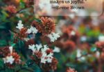 Embracing the Wonderful Life Kit: Finding Joy and Gratitude 2