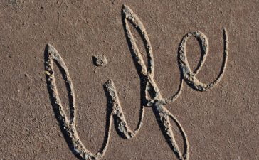 Make Peace With the Life You Did Not Get 8