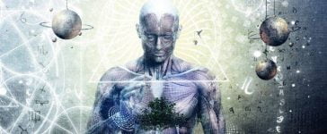 The Law Review - Laws of Attraction 12