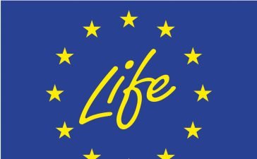 Step Up to a Better Life With the Help of a Good Coach 3