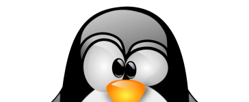 Linux: Rebuild RAID After Disk Failure 10