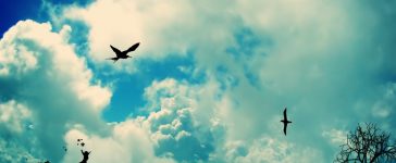 Live The Life That Is Best For YOU! 13