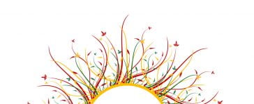 Nonresidential Building Energy Use Disclosure Program (AB 1103) and Utilities 11