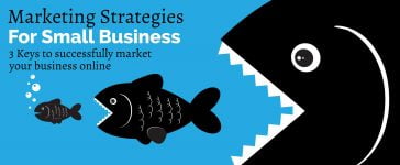 Marketing Strategies and Tactics for Your Online Business 11