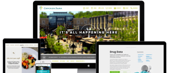 Website Design for Screens - How to Do It Effectively 12