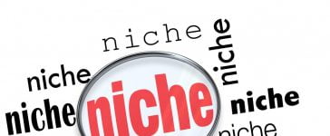 Seven Steps to Niche Blogging Success 11
