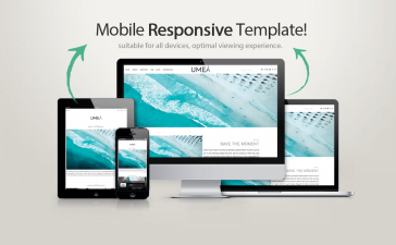 Picking a Blog Theme 10