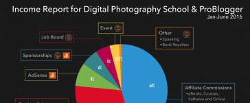 Blogging For Profit Creating a Website 12