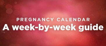 Pregnancy guide to new moms-to-be: 10