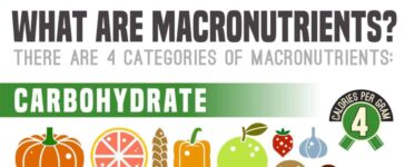 Macro Counting Made Easy: A Dummy's Guide 11