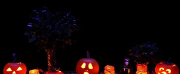 Trick or Treat Times in Oshtemo 49009: When to Celebrate Halloween 11