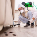 Pest Control Companies Near Me - How To Find Them 13