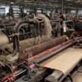 Revamping Jute Industry 6