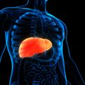 Simple Ways To Prevent Your Liver From Wrecking 11
